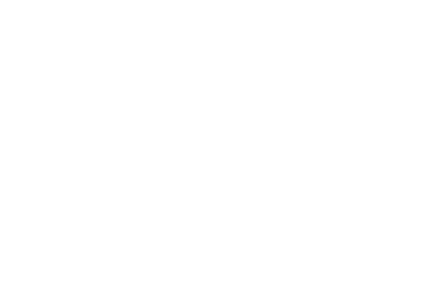 LIGHTHOUSE-GROUP